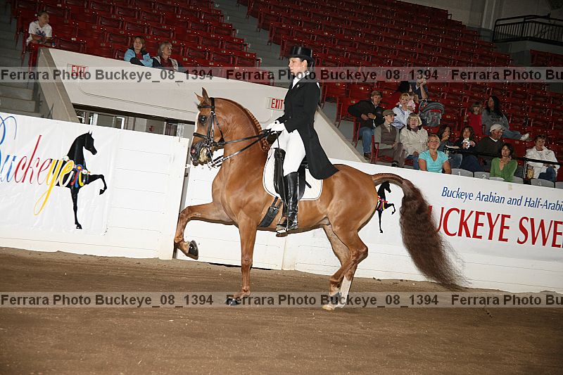 Proof Number buckeye_08_1394