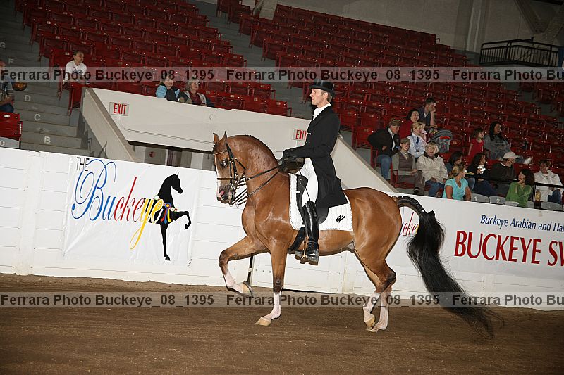 Proof Number buckeye_08_1395