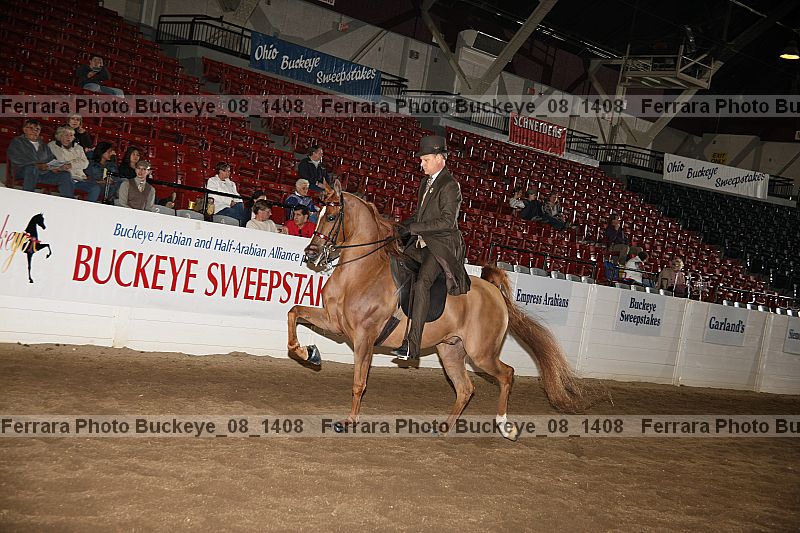 Proof Number buckeye_08_1408