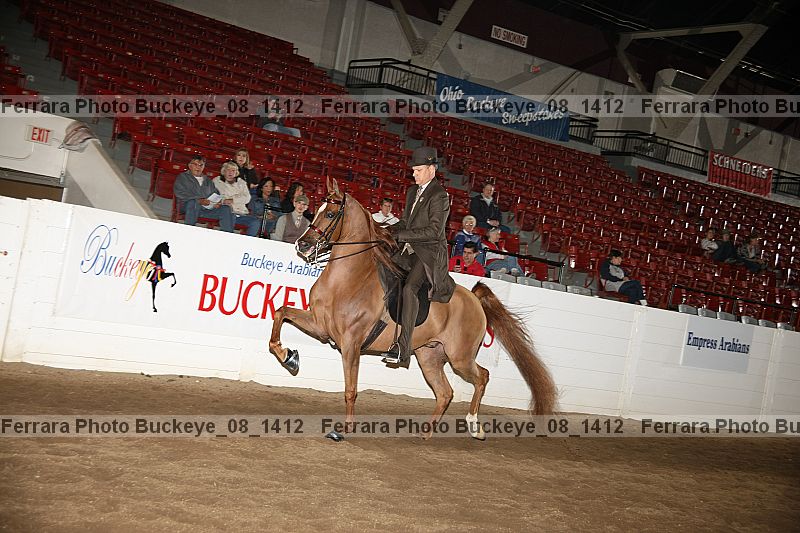Proof Number buckeye_08_1412
