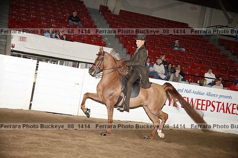 Proof Number buckeye_08_1414