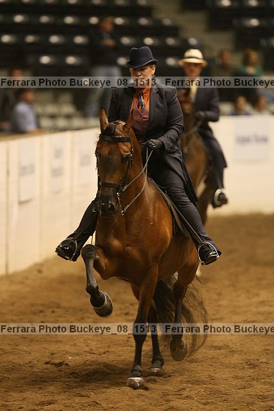 Proof Number buckeye_08_1513