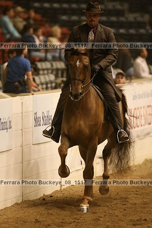 Proof Number buckeye_08_1517