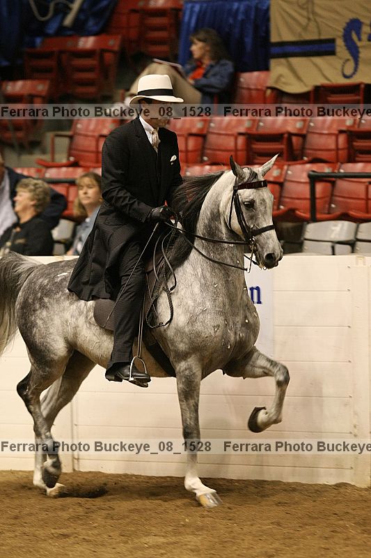 Proof Number buckeye_08_1528
