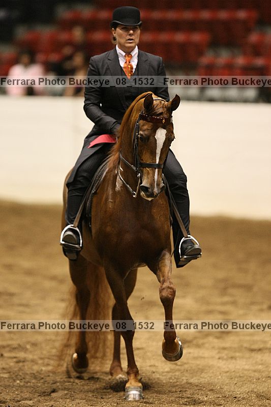 Proof Number buckeye_08_1532