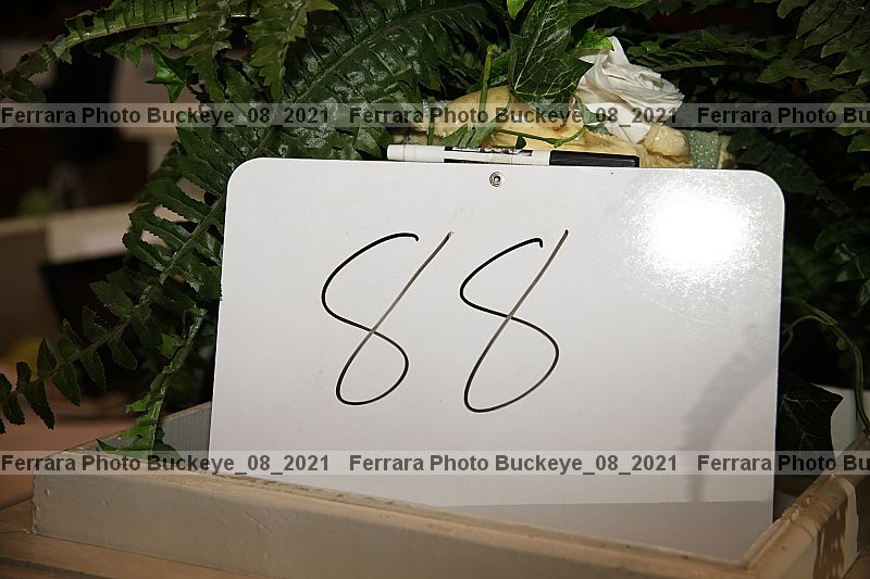 Proof Number buckeye_08_2021