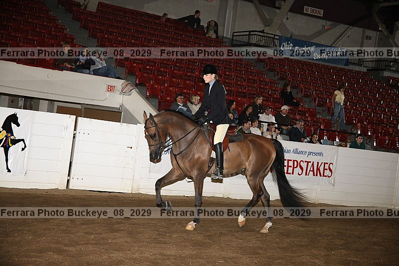 Proof Number buckeye_08_2029
