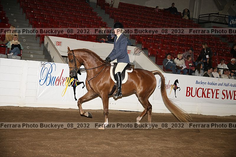 Proof Number buckeye_08_2032