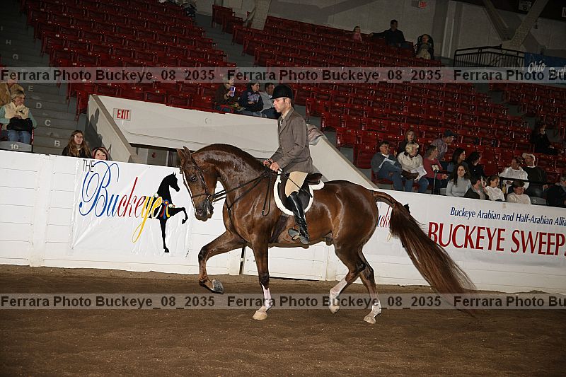 Proof Number buckeye_08_2035