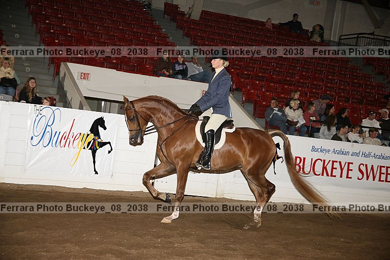 Proof Number buckeye_08_2038