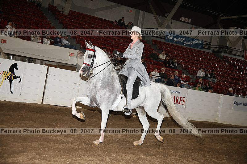 Proof Number buckeye_08_2047
