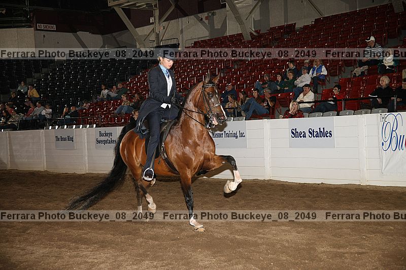 Proof Number buckeye_08_2049