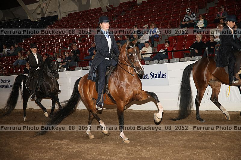 Proof Number buckeye_08_2052