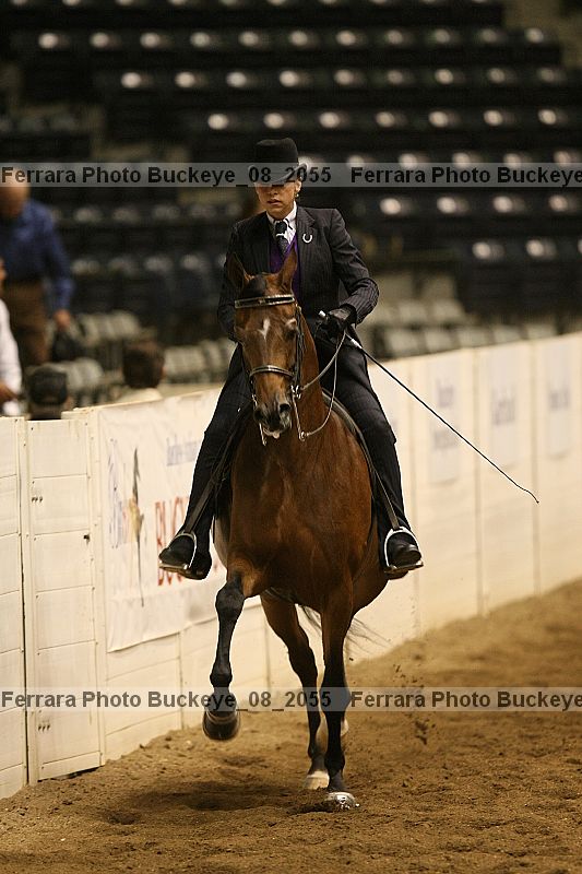 Proof Number buckeye_08_2055