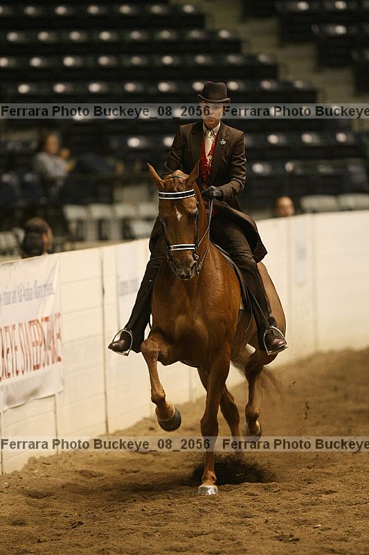 Proof Number buckeye_08_2056