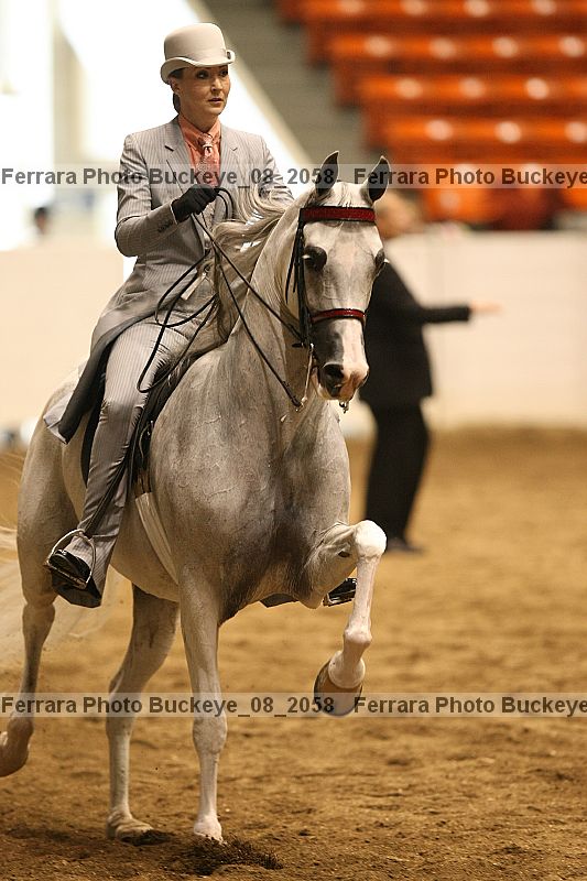 Proof Number buckeye_08_2058