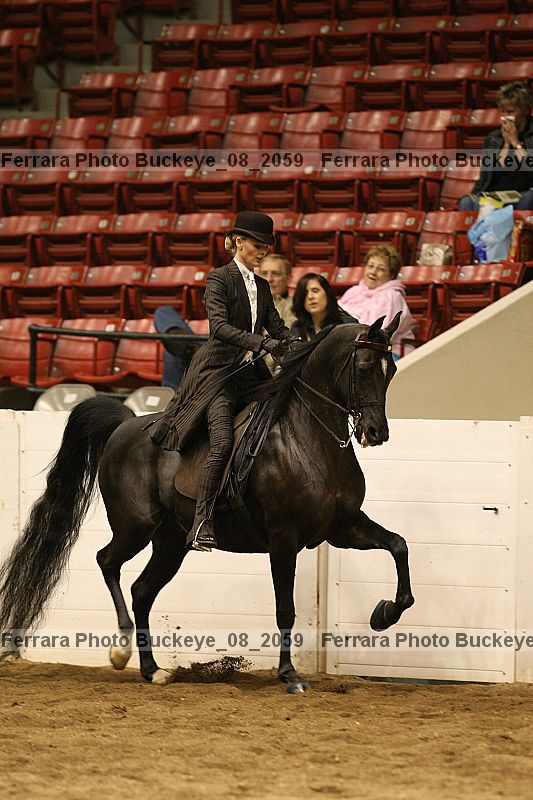 Proof Number buckeye_08_2059