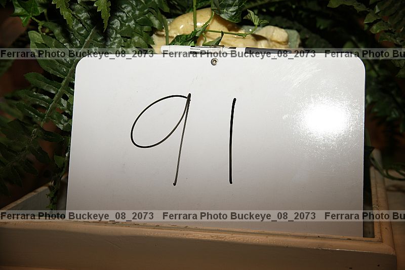 Proof Number buckeye_08_2073