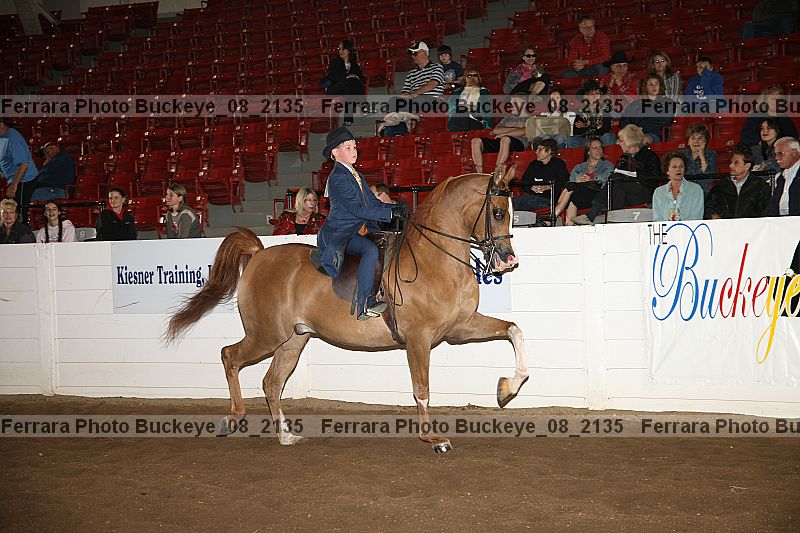 Proof Number buckeye_08_2135