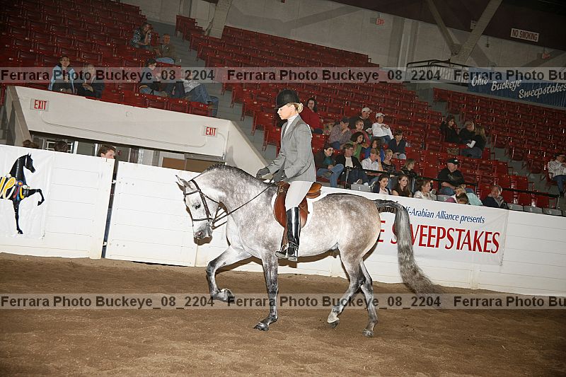 Proof Number buckeye_08_2204
