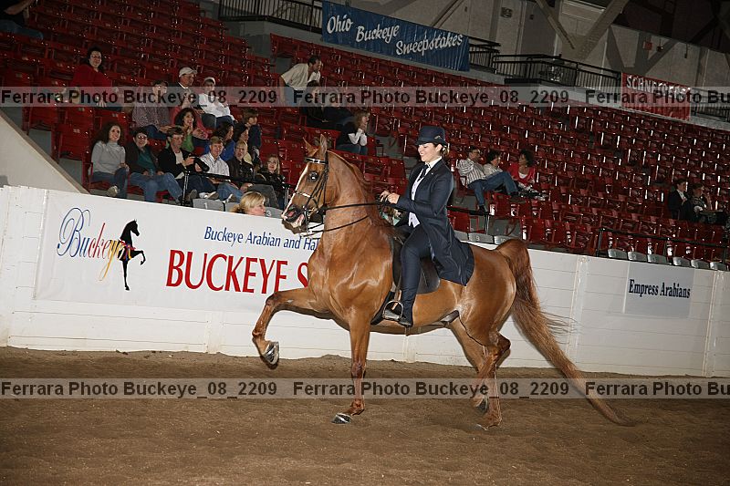 Proof Number buckeye_08_2209