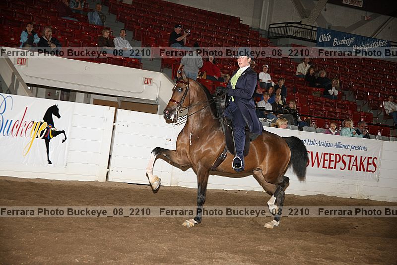 Proof Number buckeye_08_2210