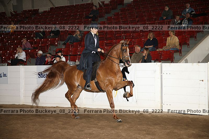 Proof Number buckeye_08_2222