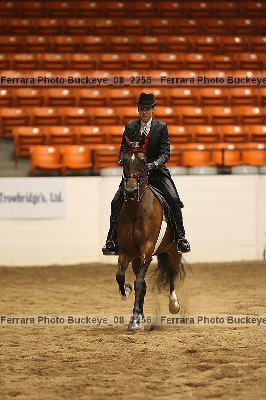 Proof Number buckeye_08_2256
