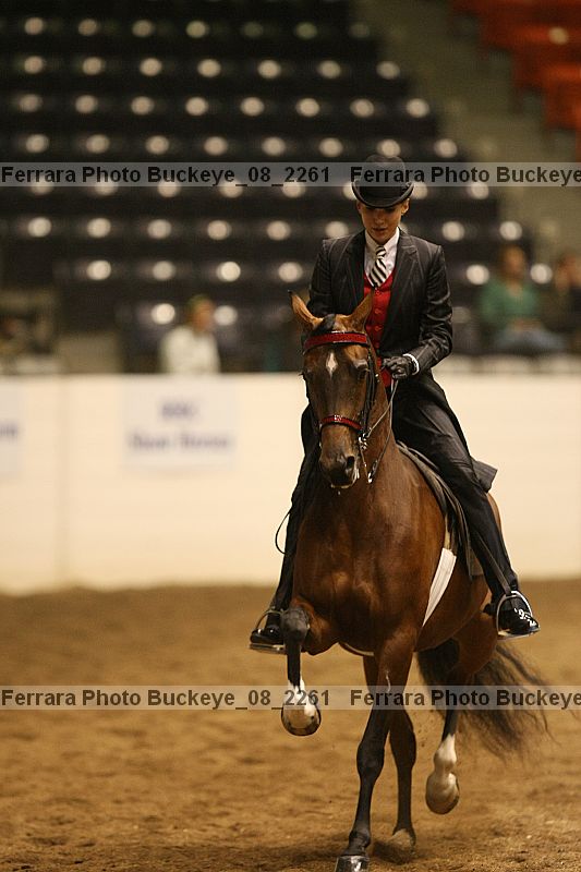 Proof Number buckeye_08_2261