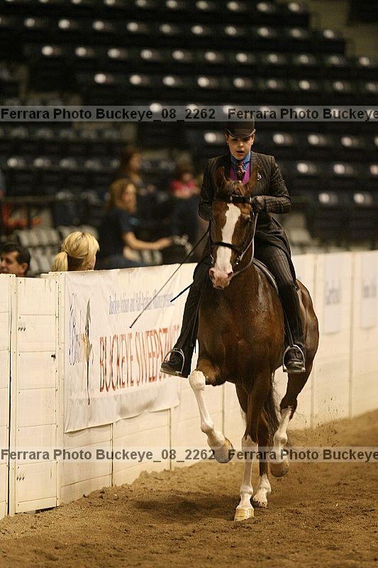 Proof Number buckeye_08_2262