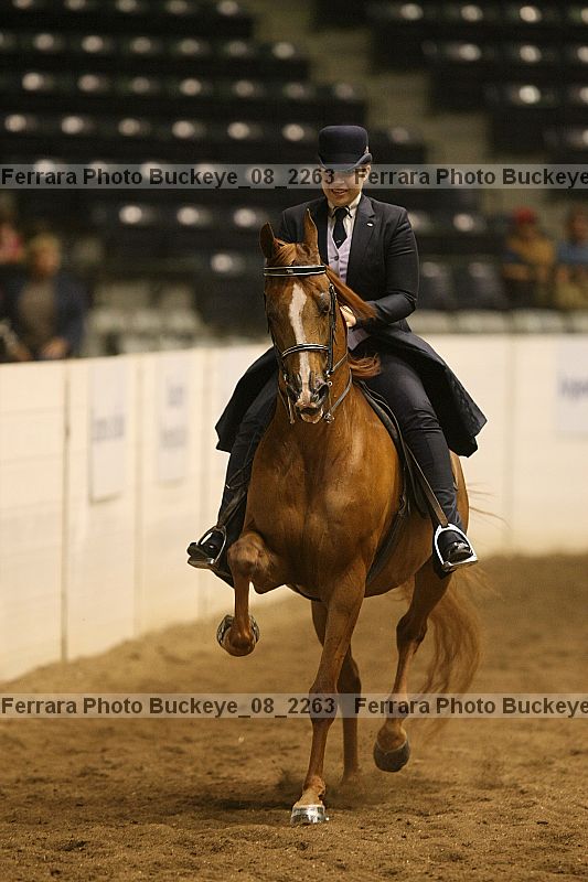 Proof Number buckeye_08_2263