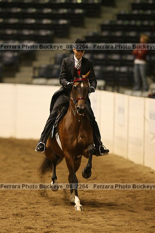 Proof Number buckeye_08_2264
