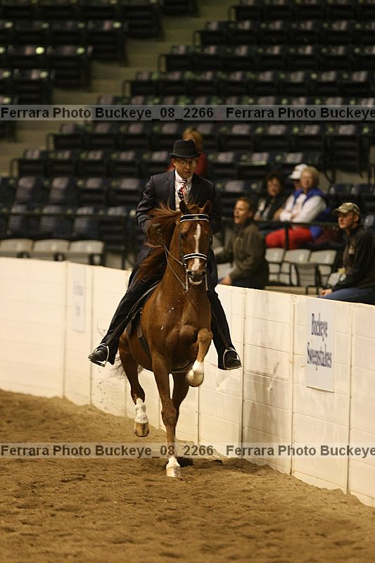 Proof Number buckeye_08_2266