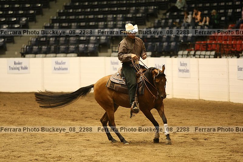 Proof Number buckeye_08_2288