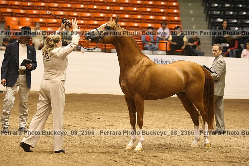 Proof Number buckeye_08_2366