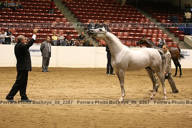 Proof Number buckeye_08_2387