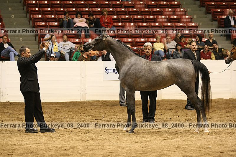 Proof Number buckeye_08_2400