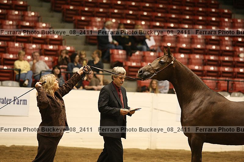 Proof Number buckeye_08_2411