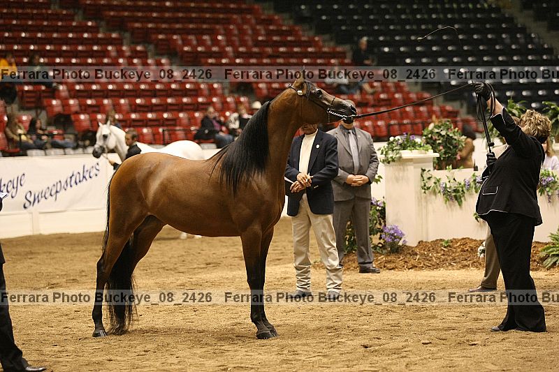 Proof Number buckeye_08_2426