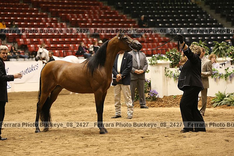 Proof Number buckeye_08_2427