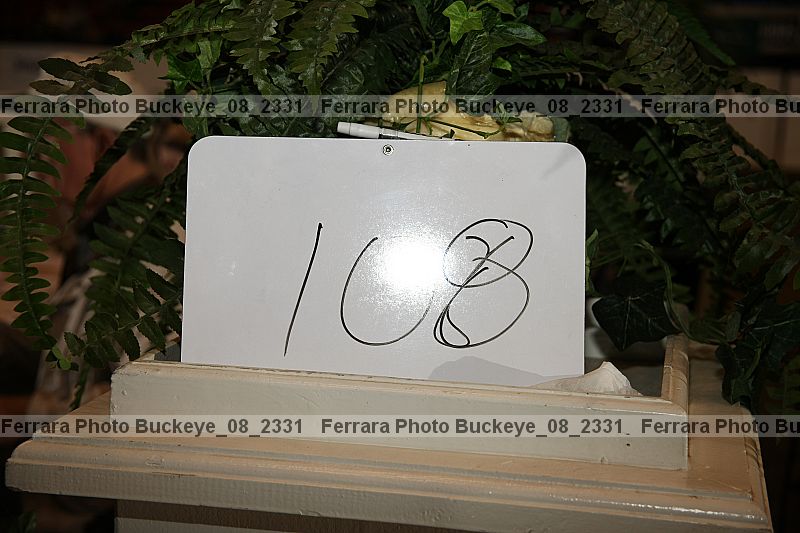 Proof Number buckeye_08_2331