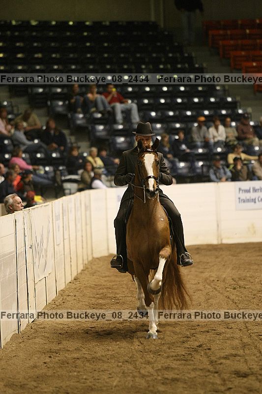 Proof Number buckeye_08_2434