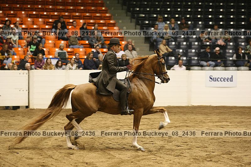 Proof Number buckeye_08_2436
