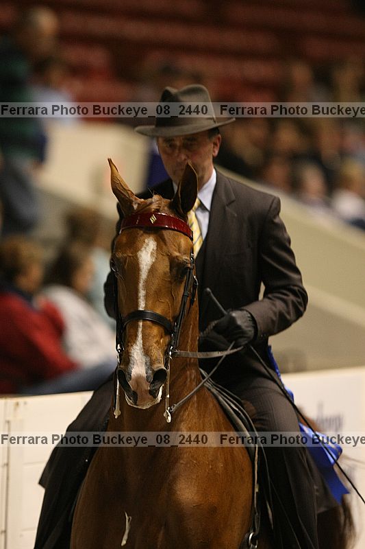 Proof Number buckeye_08_2440