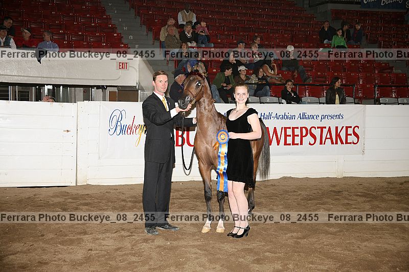 Proof Number buckeye_08_2455