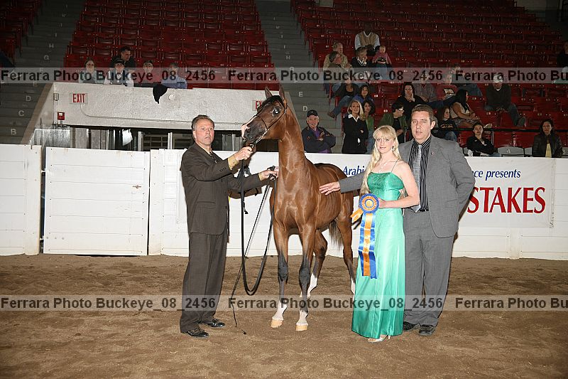 Proof Number buckeye_08_2456