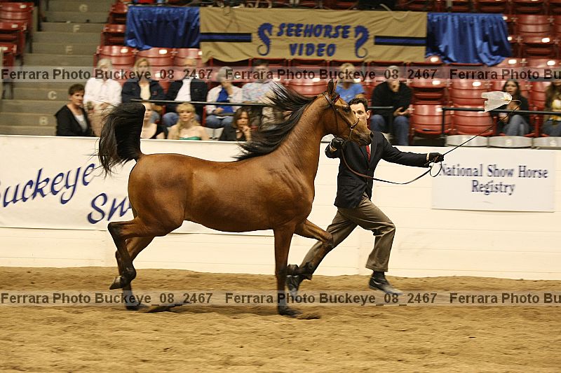 Proof Number buckeye_08_2467