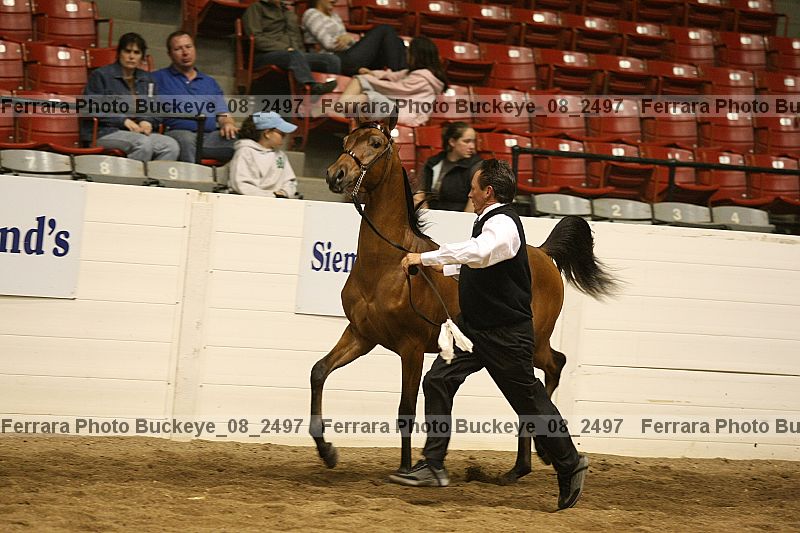 Proof Number buckeye_08_2497