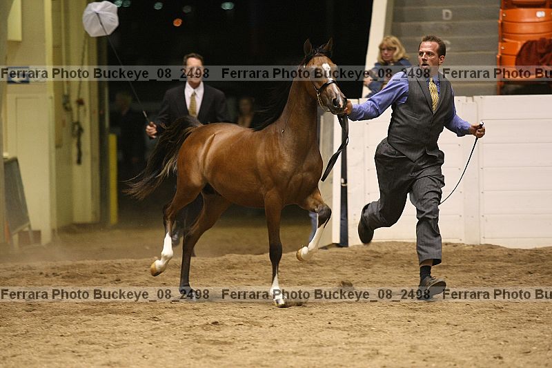 Proof Number buckeye_08_2498