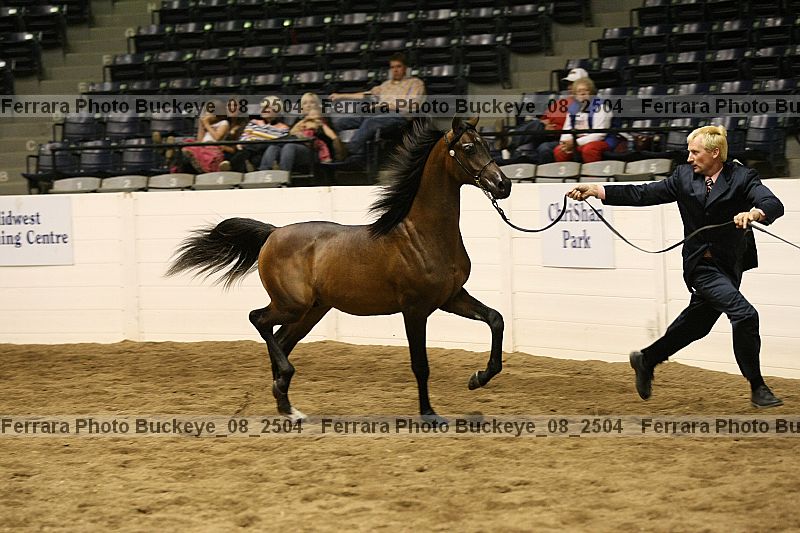 Proof Number buckeye_08_2504